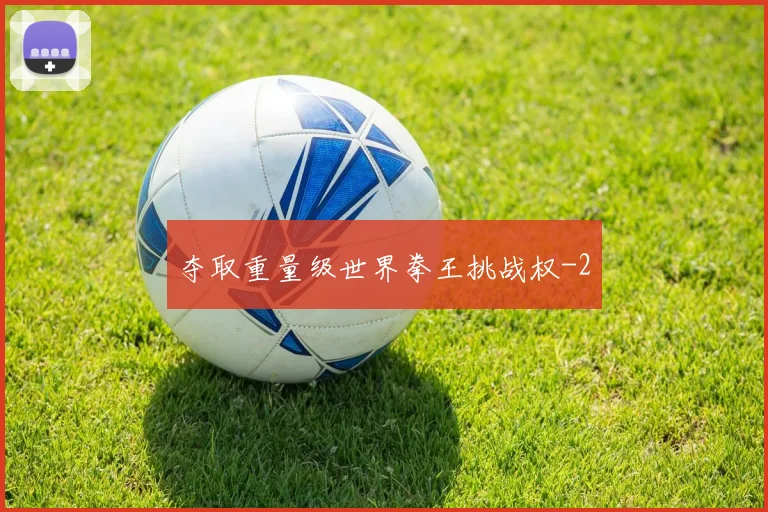 夺取重量级世界拳王挑战权