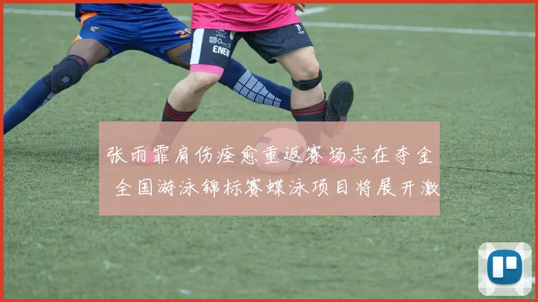 张雨霏肩伤痊愈重返赛场志在夺金 全国游泳锦标赛蝶泳项目将展开激烈角逐